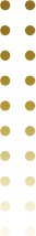 shape7