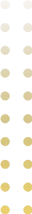 shape7